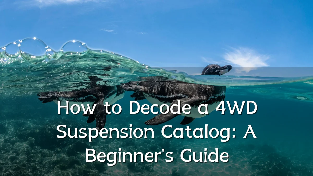 How to Decode a 4WD Suspension Catalog: A Beginner's Guide
