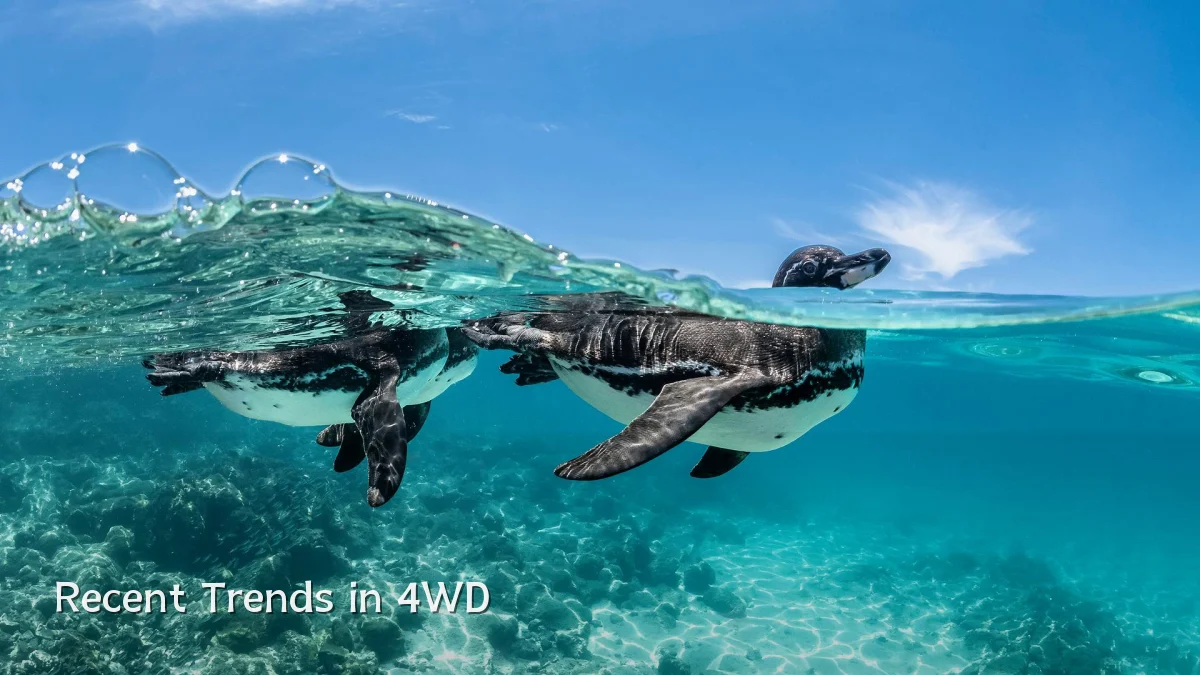 Recent Trends in 4WD