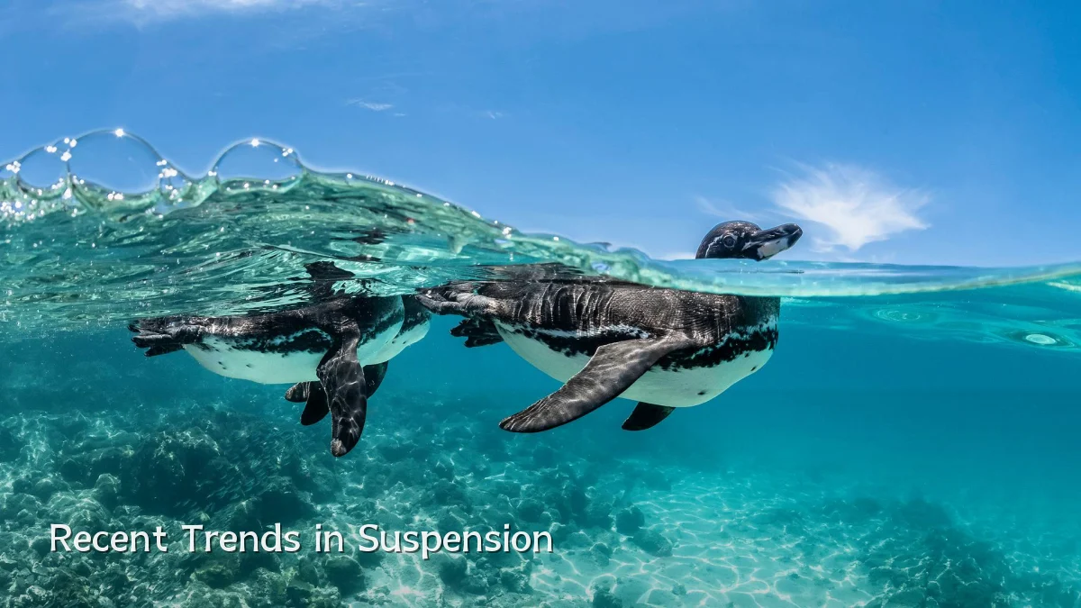 Recent Trends in Suspension