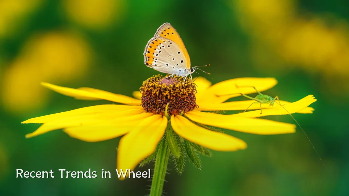 Recent Trends in Wheel
