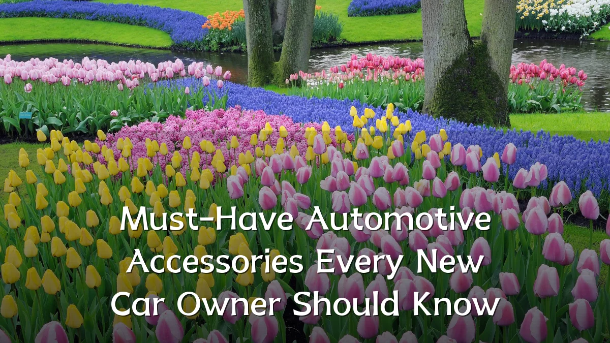 Must-Have Automotive Accessories Every New Car Owner Should Know