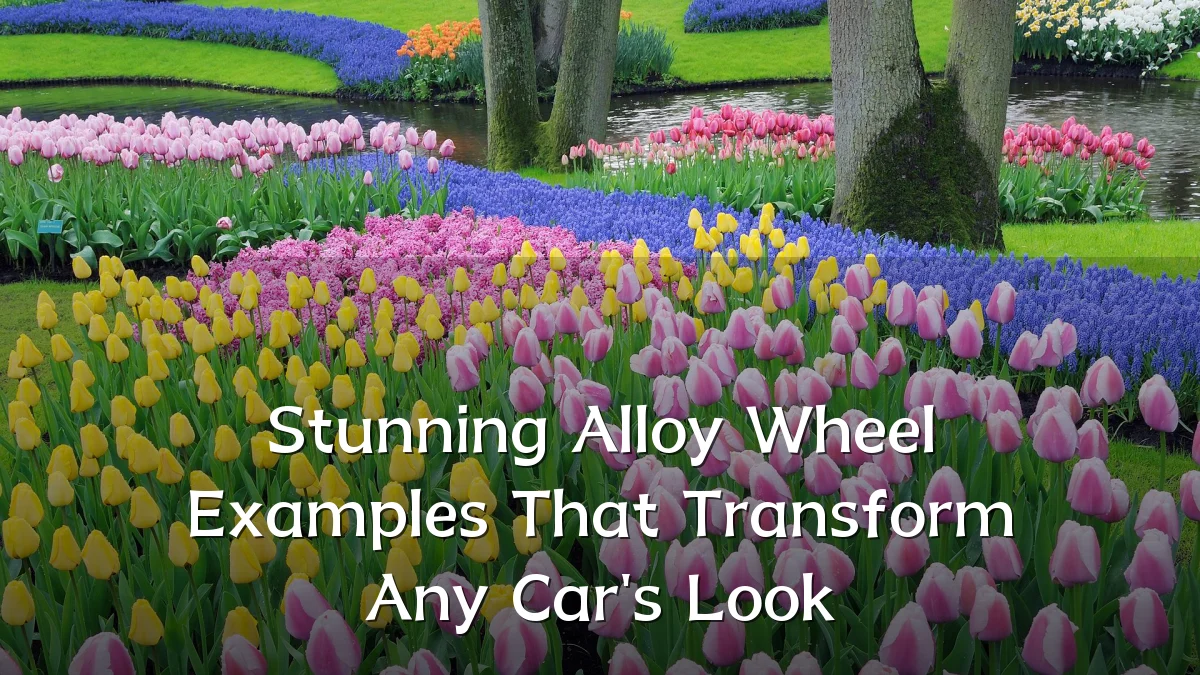 Stunning Alloy Wheel Examples That Transform Any Car's Look