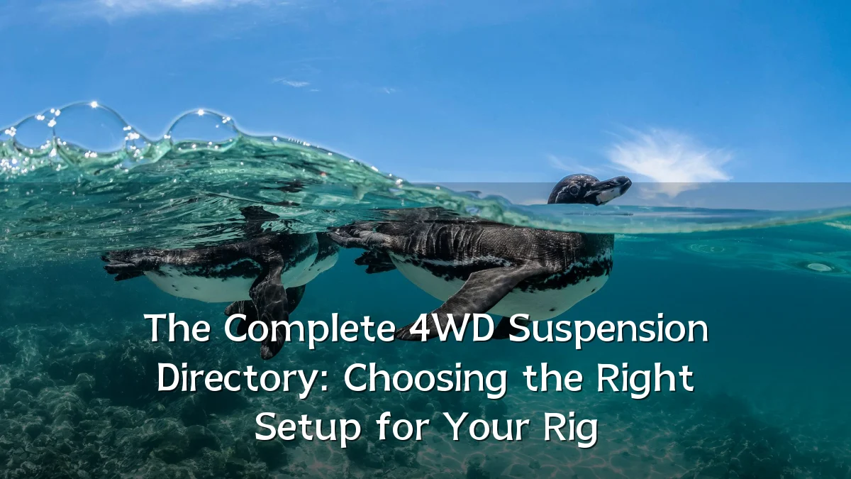 The Complete 4WD Suspension Directory: Choosing the Right Setup for Your Rig