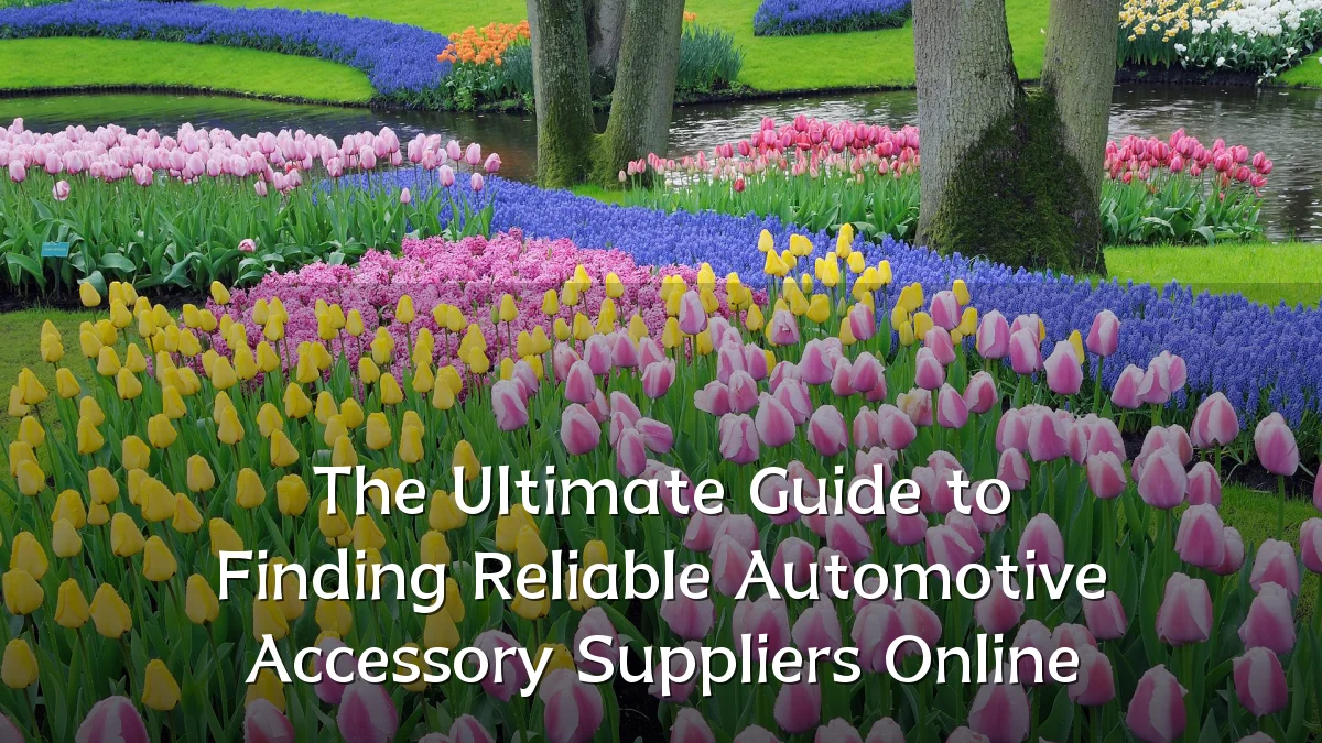 The Ultimate Guide to Finding Reliable Automotive Accessory Suppliers Online