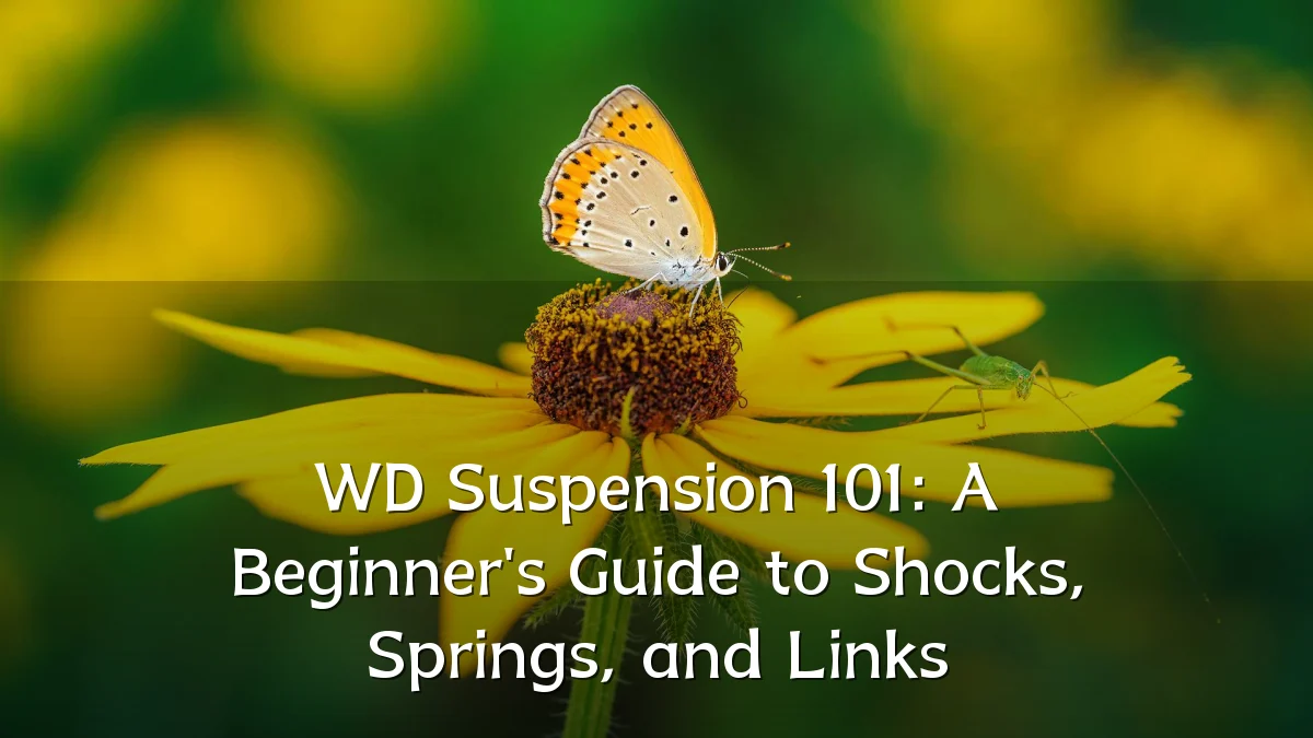 WD Suspension 101: A Beginner's Guide to Shocks, Springs, and Links