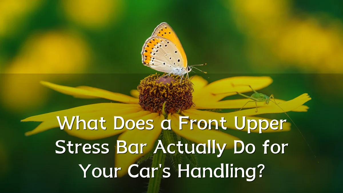 What Does a Front Upper Stress Bar Actually Do for Your Car's Handling?