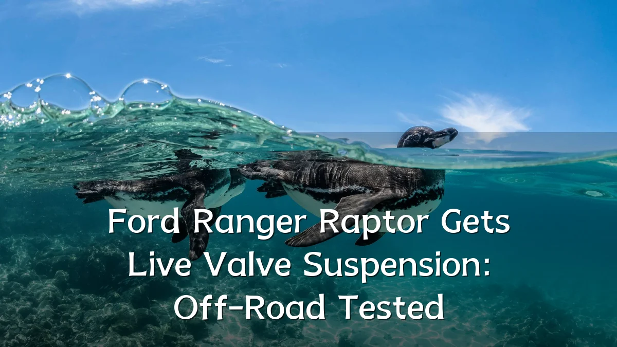 Ford Ranger Raptor Gets Live Valve Suspension: Off-Road Tested