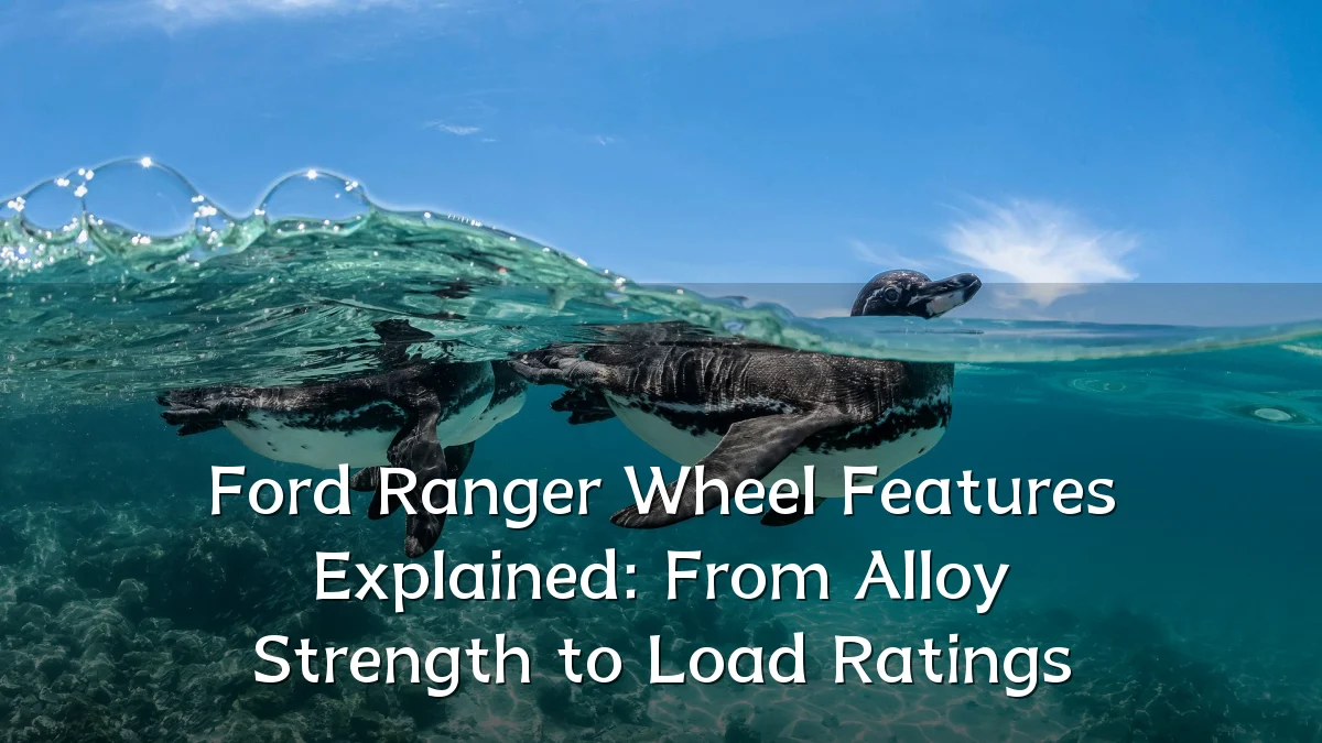Ford Ranger Wheel Features Explained: From Alloy Strength to Load Ratings