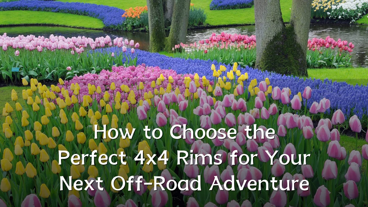 How to Choose the Perfect 4x4 Rims for Your Next Off-Road Adventure