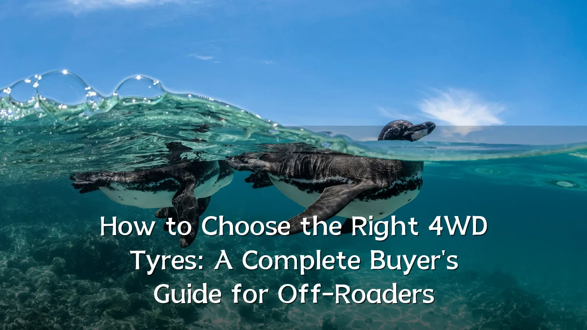 How to Choose the Right 4WD Tyres: A Complete Buyer's Guide for Off-Roaders