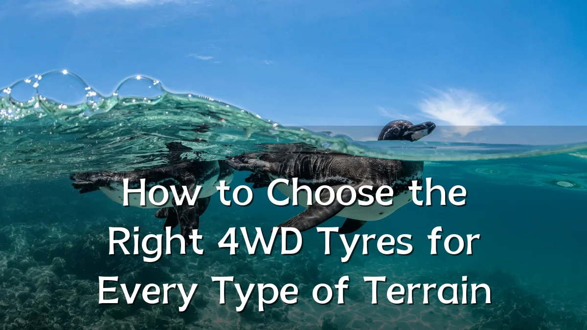 How to Choose the Right 4WD Tyres for Every Type of Terrain