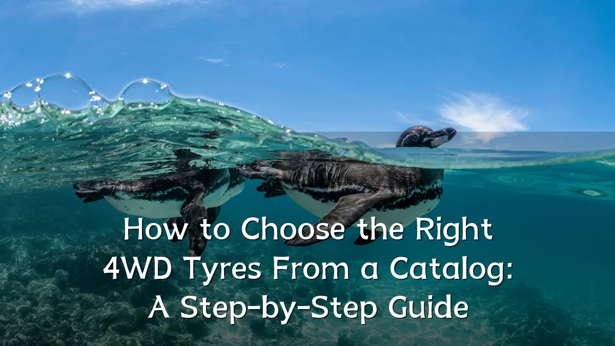 How to Choose the Right 4WD Tyres From a Catalog: A Step-by-Step Guide