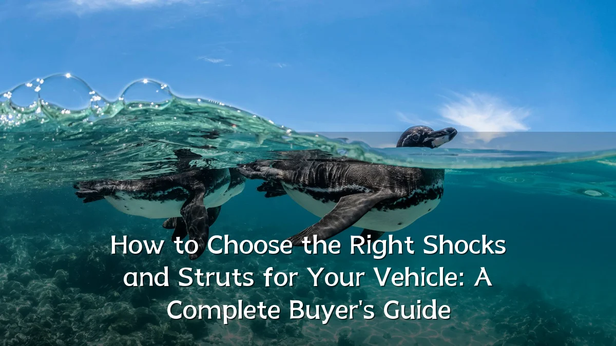 How to Choose the Right Shocks and Struts for Your Vehicle: A Complete Buyer's Guide