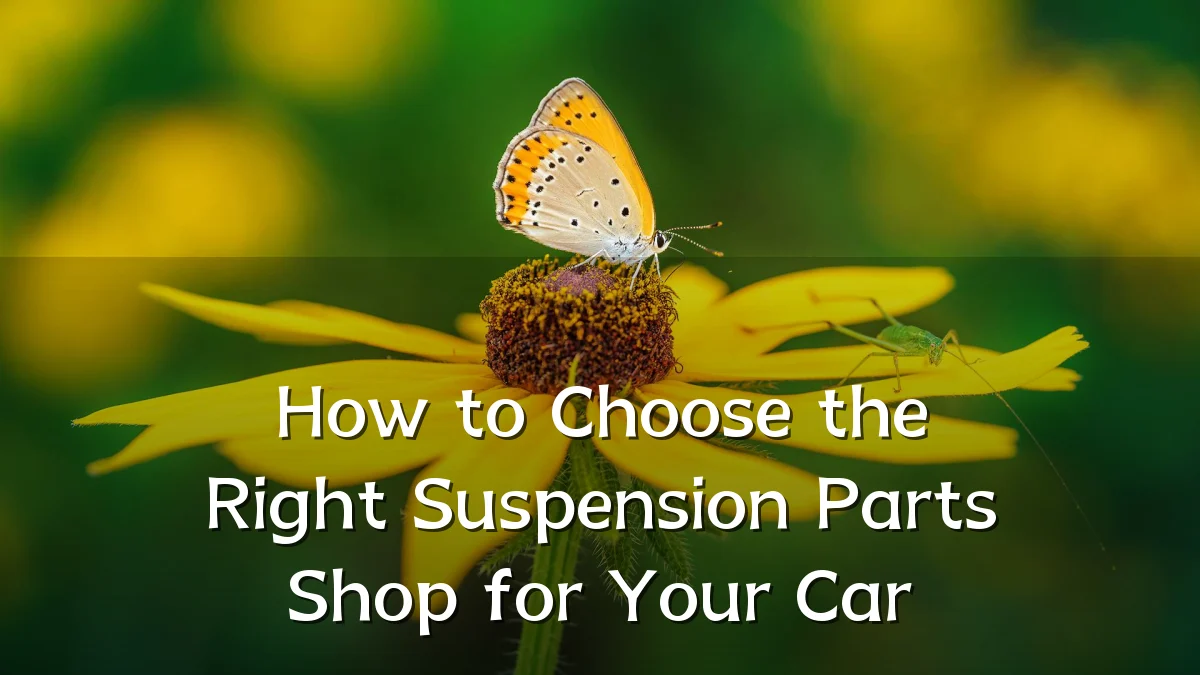 How to Choose the Right Suspension Parts Shop for Your Car