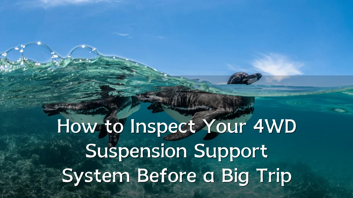 How to Inspect Your 4WD Suspension Support System Before a Big Trip