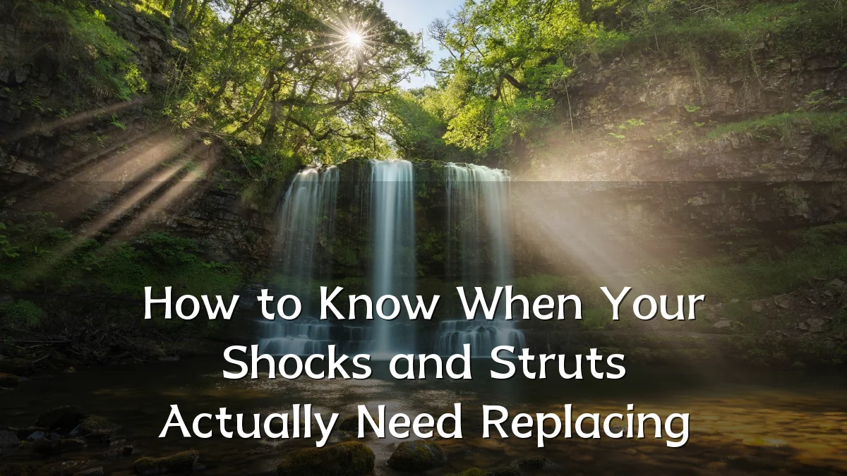 How to Know When Your Shocks and Struts Actually Need Replacing