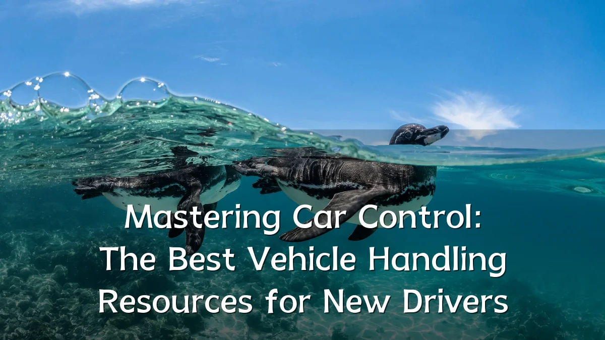 Mastering Car Control: The Best Vehicle Handling Resources for New Drivers