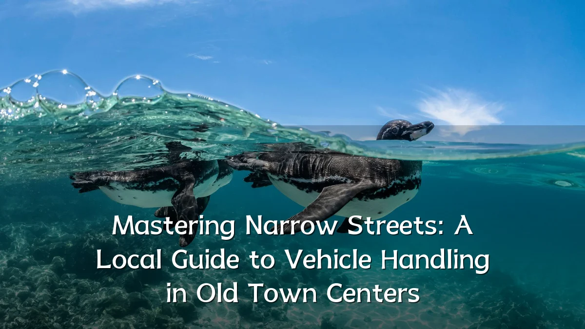 Mastering Narrow Streets: A Local Guide to Vehicle Handling in Old Town Centers