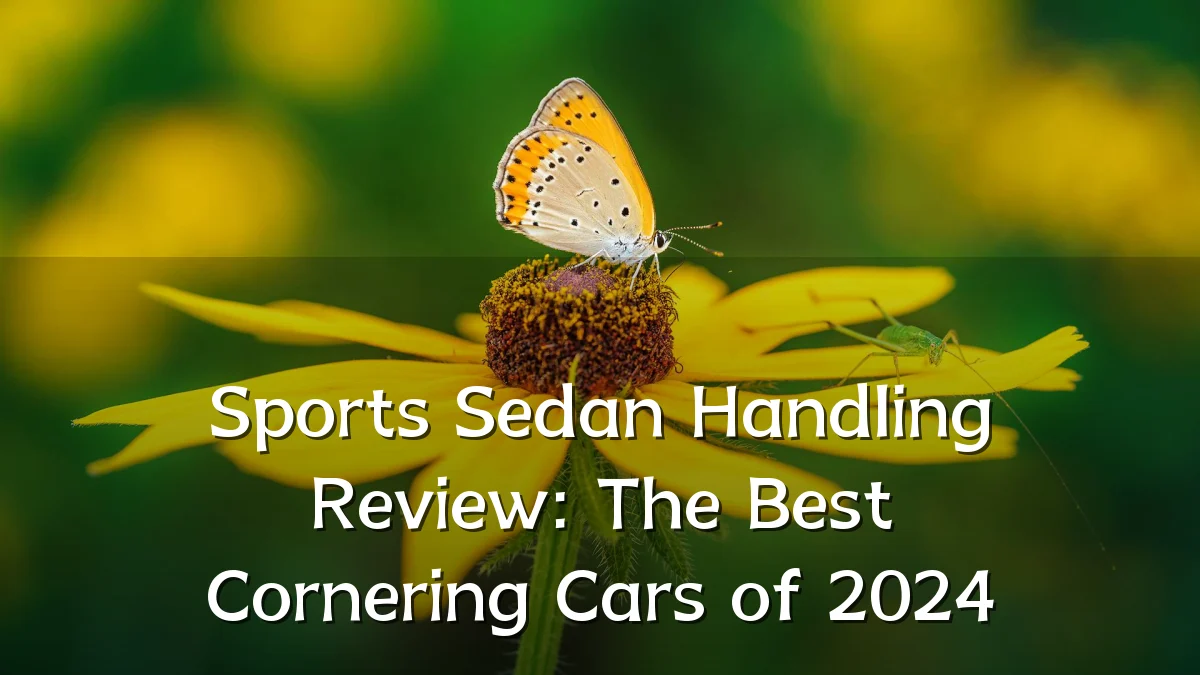 Sports Sedan Handling Review: The Best Cornering Cars of 2024