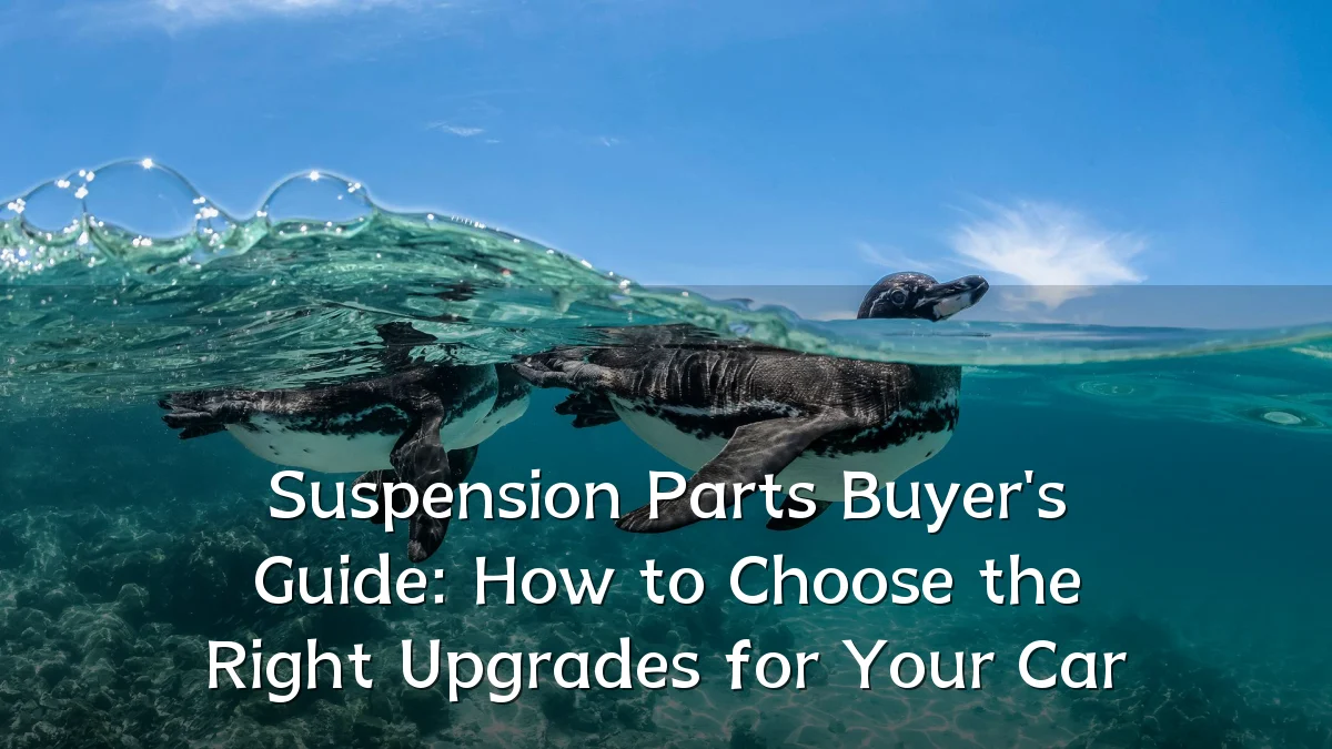 Suspension Parts Buyer's Guide: How to Choose the Right Upgrades for Your Car