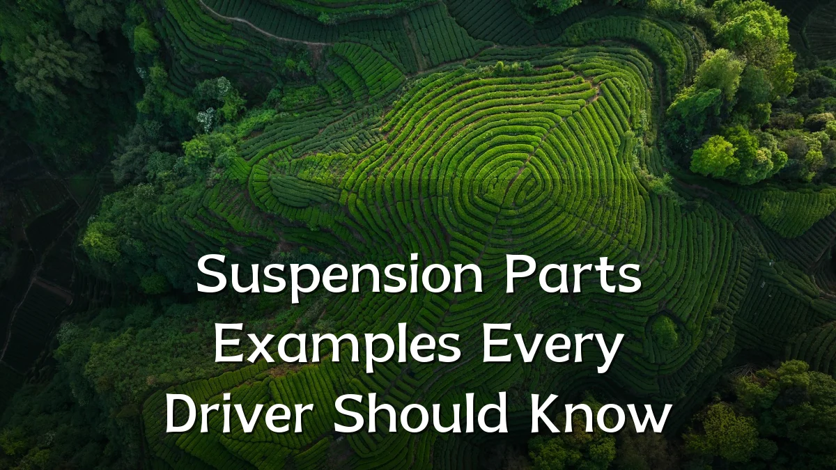 Suspension Parts Examples Every Driver Should Know