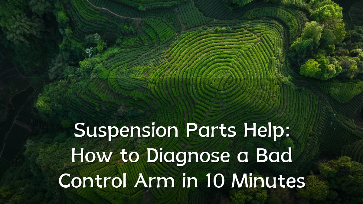 Suspension Parts Help: How to Diagnose a Bad Control Arm in 10 Minutes