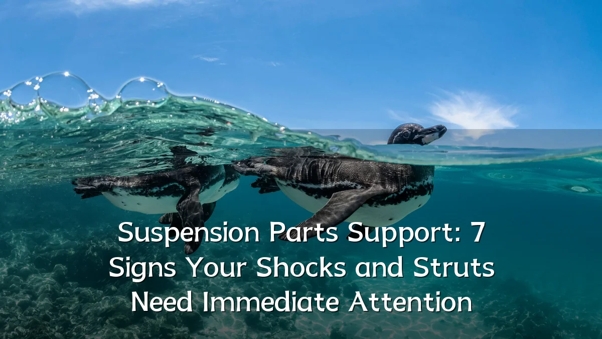 Suspension Parts Support: 7 Signs Your Shocks and Struts Need Immediate Attention
