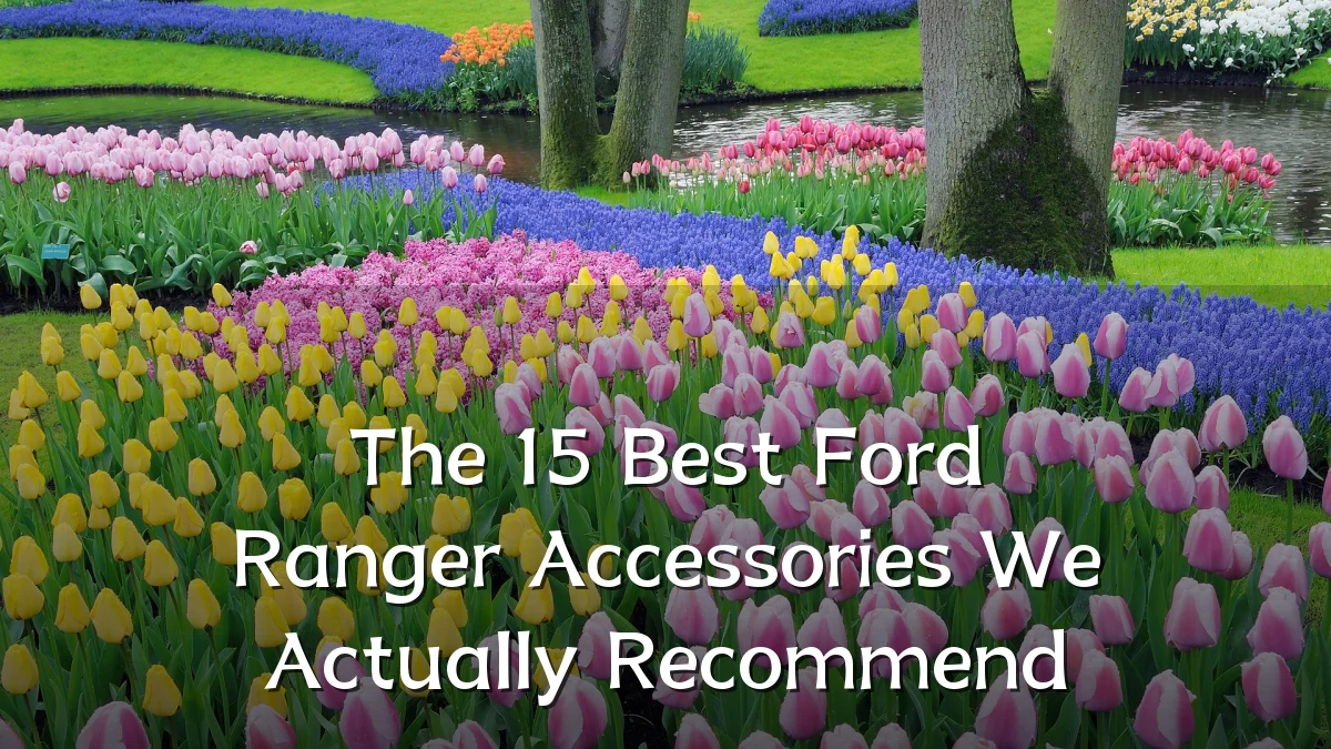 The 15 Best Ford Ranger Accessories We Actually Recommend