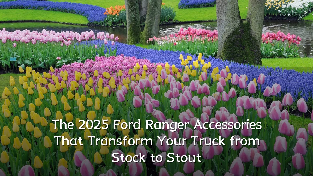 The 2025 Ford Ranger Accessories That Transform Your Truck from Stock to Stout