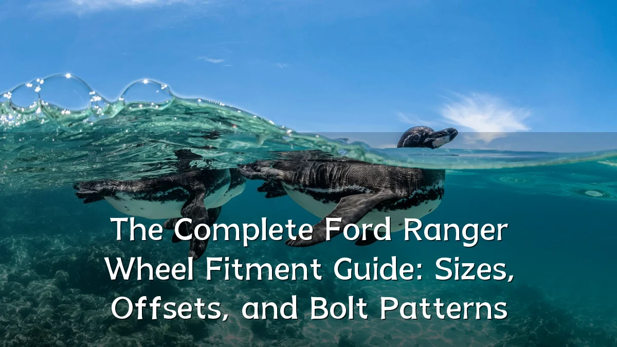 The Complete Ford Ranger Wheel Fitment Guide: Sizes, Offsets, and Bolt Patterns