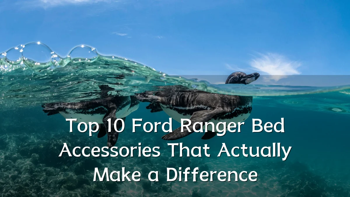 Top 10 Ford Ranger Bed Accessories That Actually Make a Difference