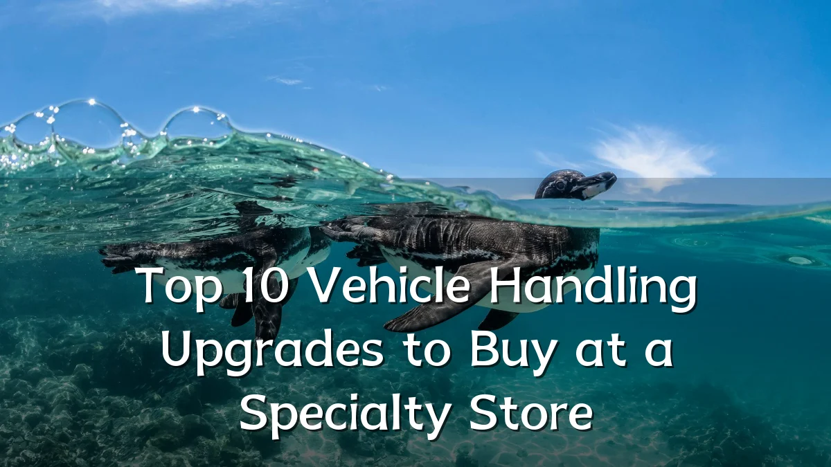 Top 10 Vehicle Handling Upgrades to Buy at a Specialty Store