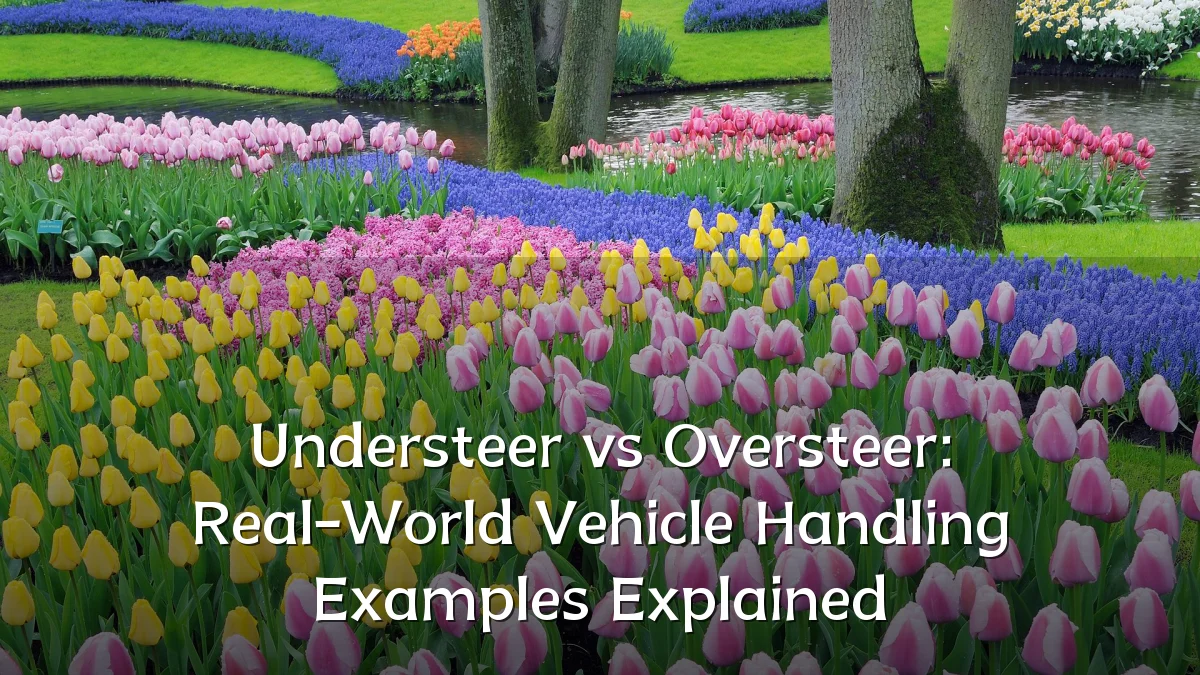 Understeer vs Oversteer: Real-World Vehicle Handling Examples Explained