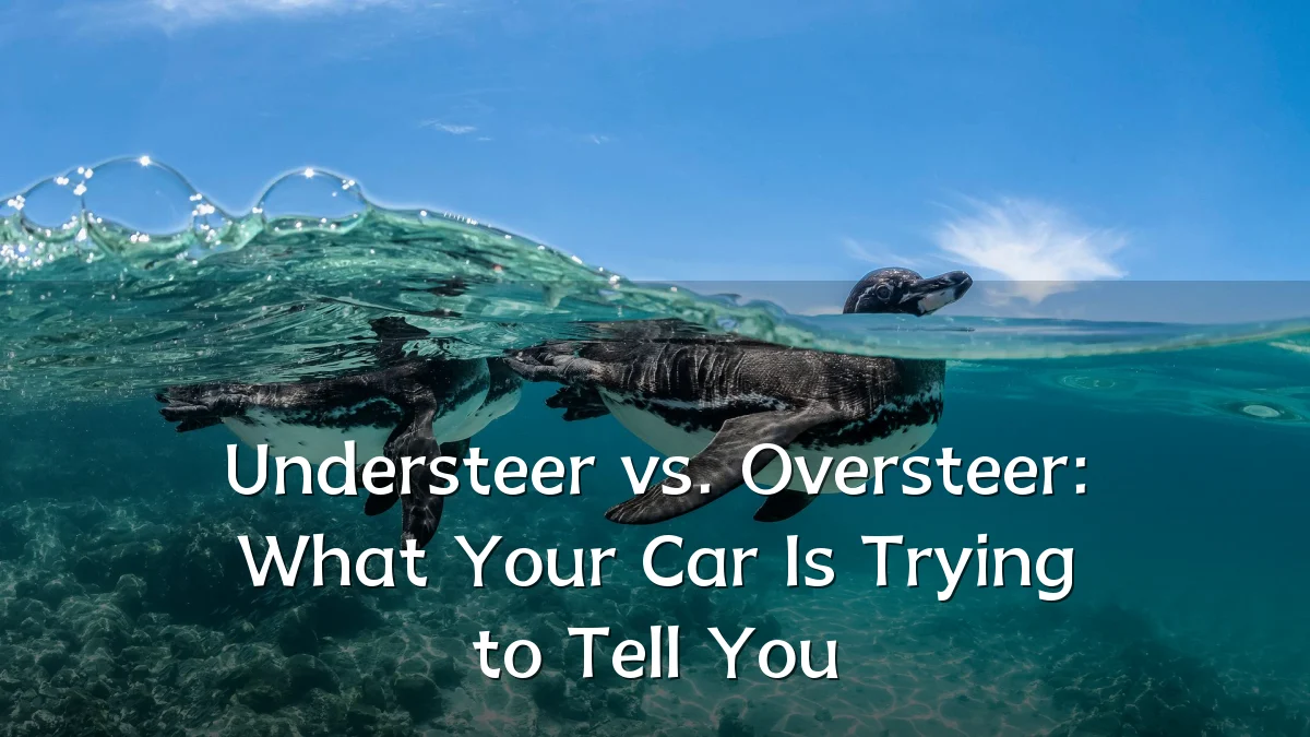 Understeer vs. Oversteer: What Your Car Is Trying to Tell You
