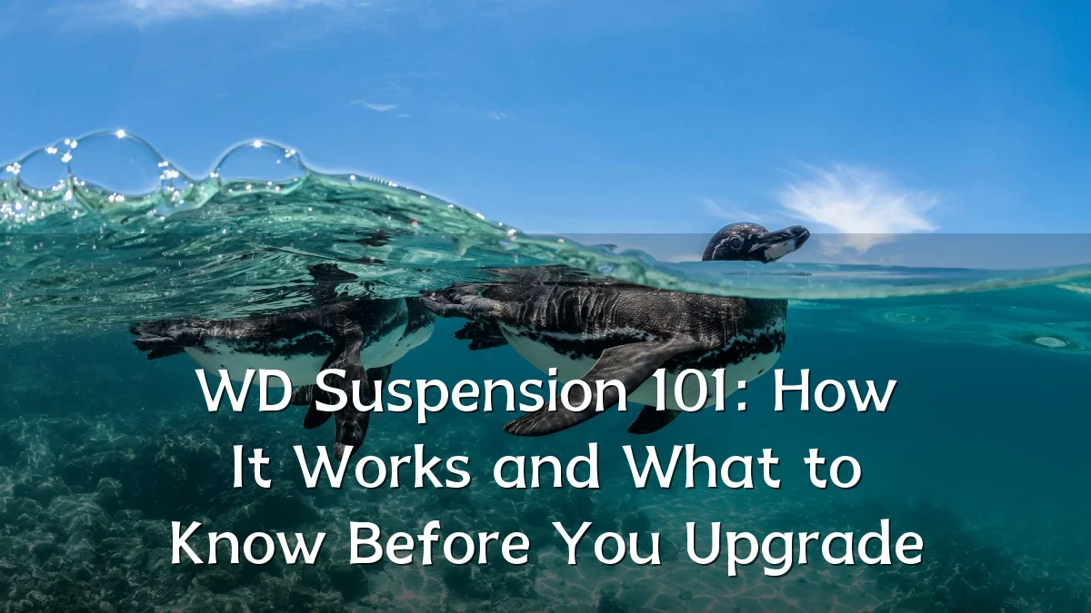 WD Suspension 101: How It Works and What to Know Before You Upgrade