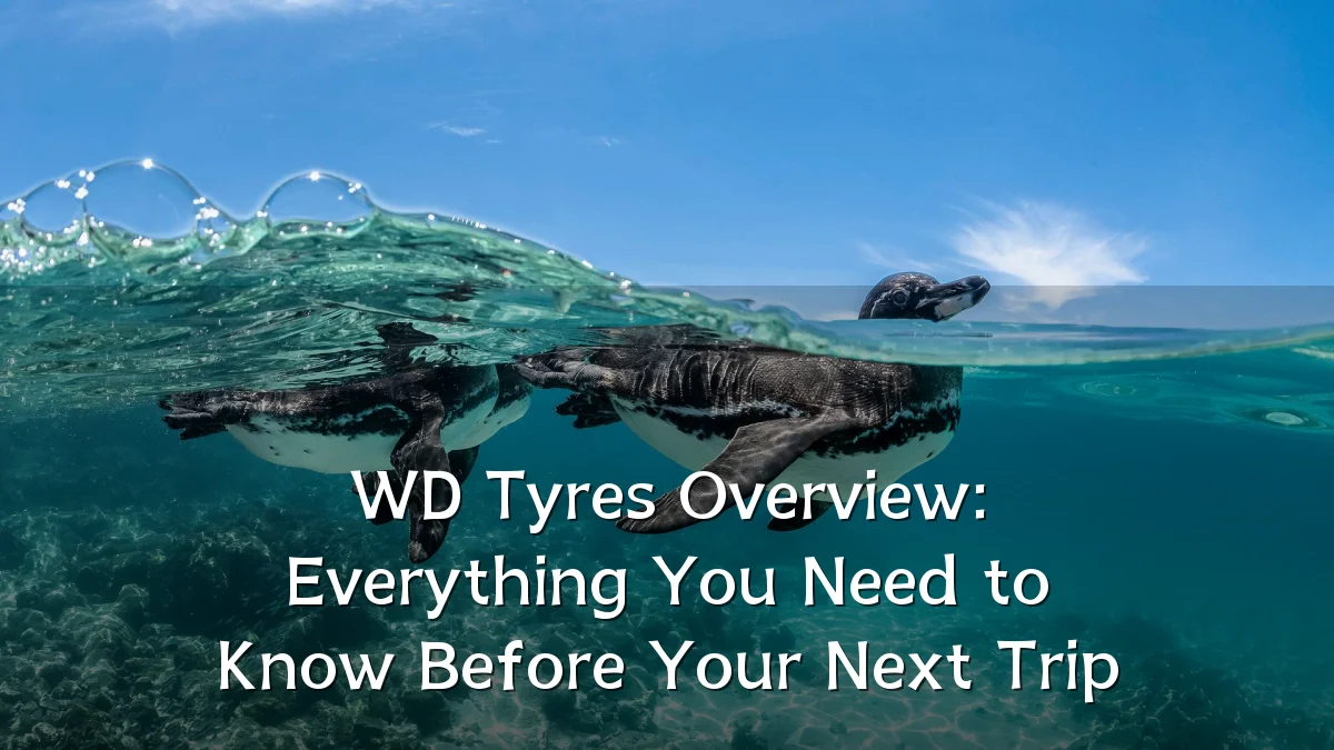 WD Tyres Overview: Everything You Need to Know Before Your Next Trip