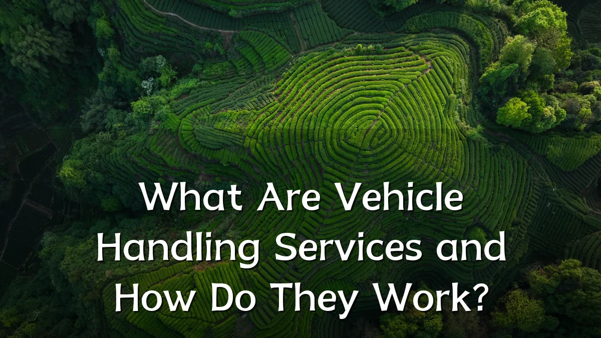 What Are Vehicle Handling Services and How Do They Work?